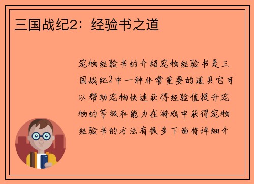 三国战纪2：经验书之道